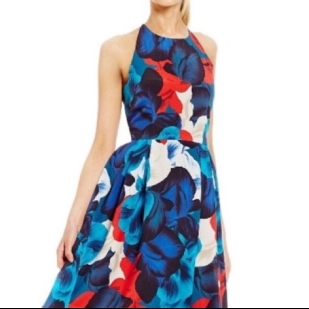 Antonio Melani Halter Dress